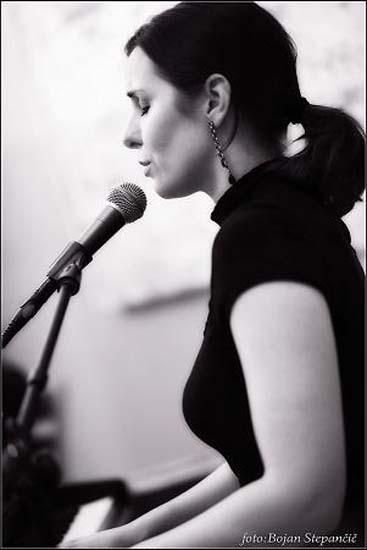 Concert with Janez Šter